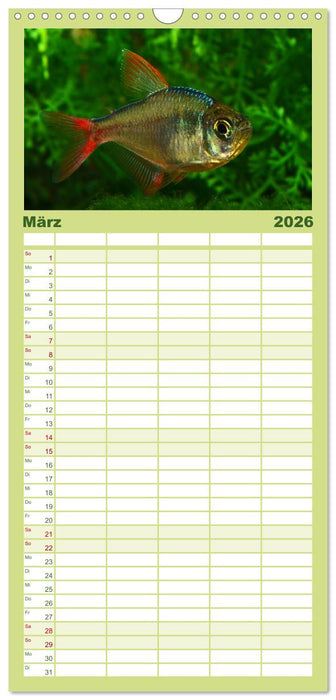 Beliebte Fische der Welt (CALVENDO Familienplaner 2026)