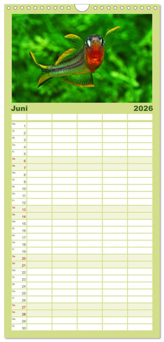 Beliebte Fische der Welt (CALVENDO Familienplaner 2026)