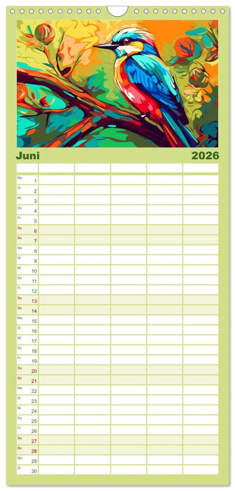 Kunterbunte Vögel (CALVENDO Familienplaner 2026)