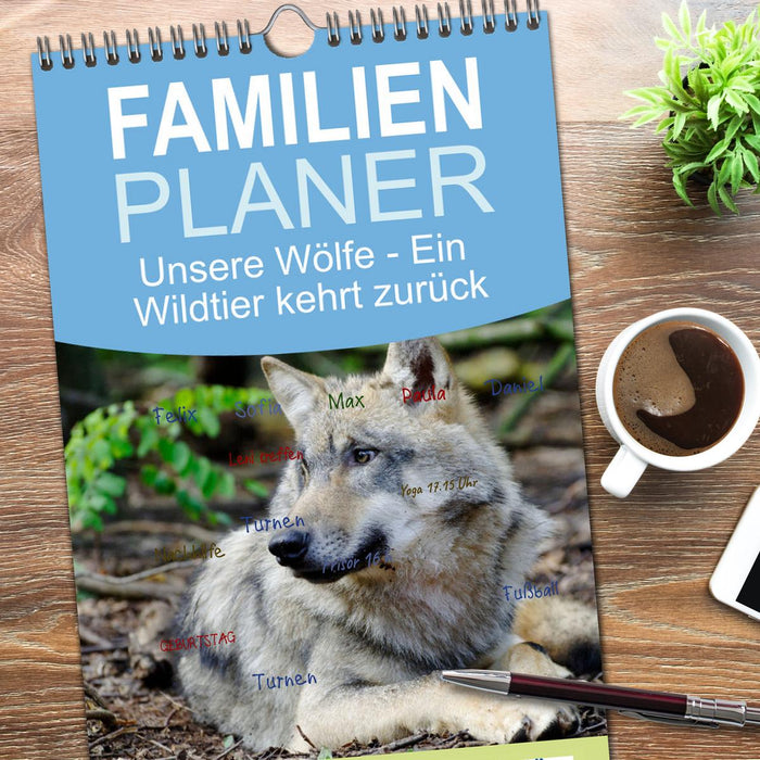 Unsere Wölfe - Ein Wildtier kehrt zurück (CALVENDO Familienplaner 2026)