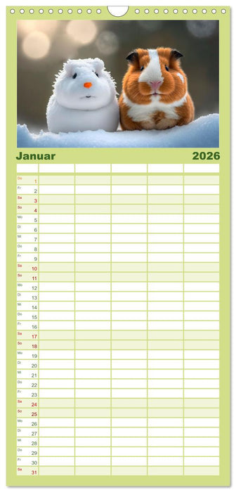 Märchenhafte Merlis - Schweinegeile Illustrationen (CALVENDO Familienplaner 2026)