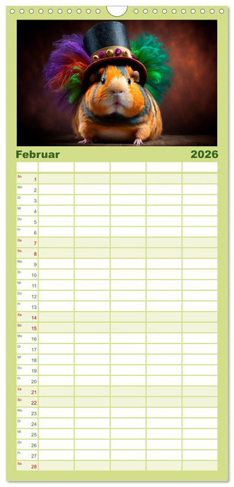 Märchenhafte Merlis - Schweinegeile Illustrationen (CALVENDO Familienplaner 2026)