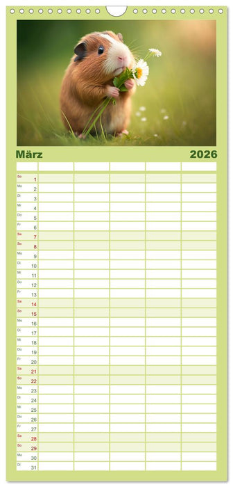 Märchenhafte Merlis - Schweinegeile Illustrationen (CALVENDO Familienplaner 2026)