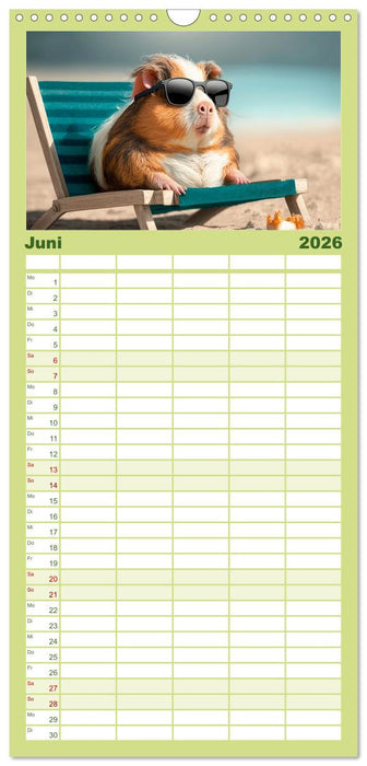 Märchenhafte Merlis - Schweinegeile Illustrationen (CALVENDO Familienplaner 2026)