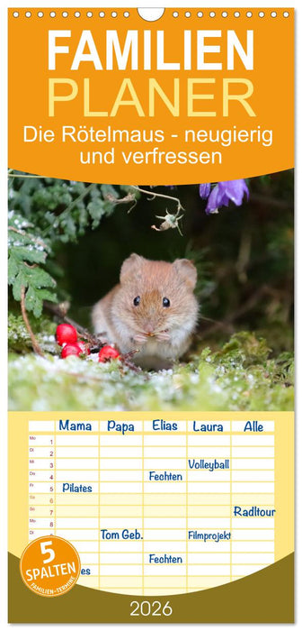 Die Rötelmaus - neugierig und verfressen (CALVENDO Familienplaner 2026)