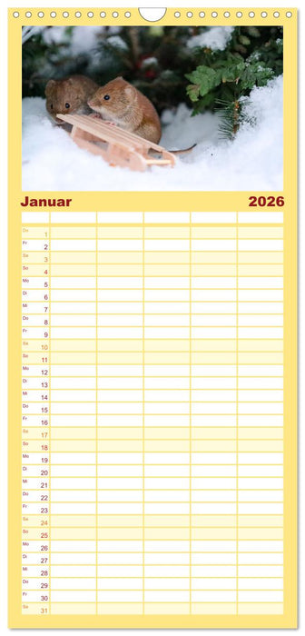 Die Rötelmaus - neugierig und verfressen (CALVENDO Familienplaner 2026)
