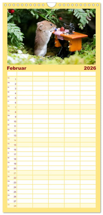 Die Rötelmaus - neugierig und verfressen (CALVENDO Familienplaner 2026)