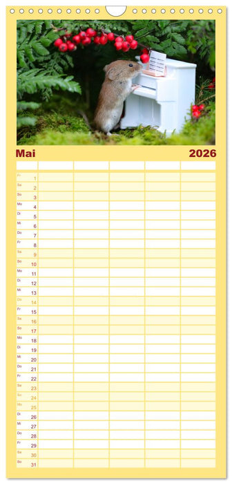 Die Rötelmaus - neugierig und verfressen (CALVENDO Familienplaner 2026)
