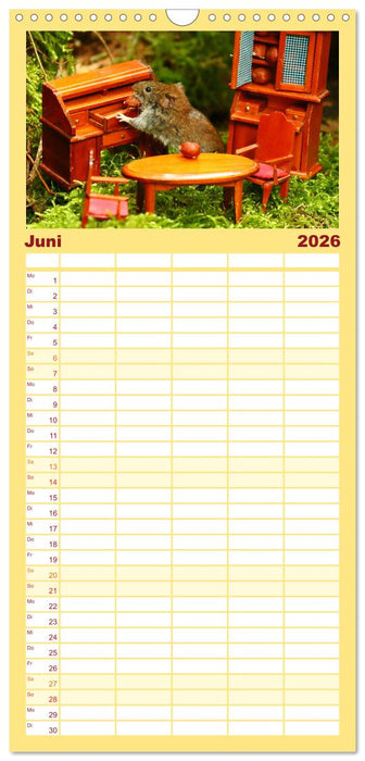 Die Rötelmaus - neugierig und verfressen (CALVENDO Familienplaner 2026)
