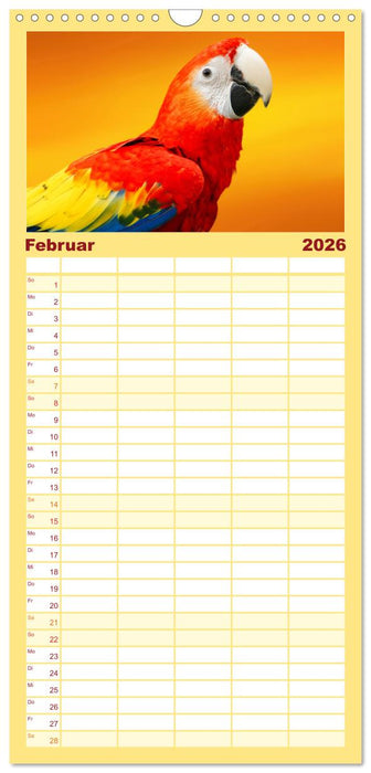 Die bunte Welt der Vögel (CALVENDO Familienplaner 2026)