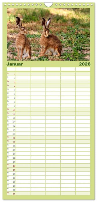 Deutsches Jagdwild - Waidmannsheil (CALVENDO Familienplaner 2026)