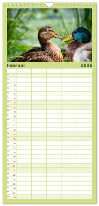 Deutsches Jagdwild - Waidmannsheil (CALVENDO Familienplaner 2026)