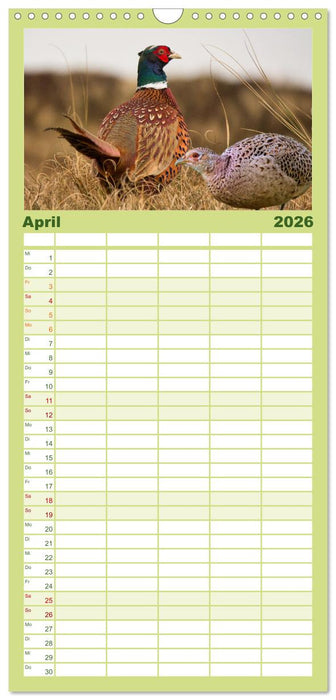 Deutsches Jagdwild - Waidmannsheil (CALVENDO Familienplaner 2026)