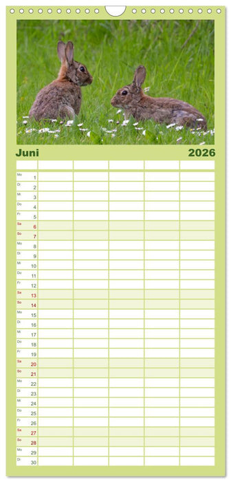 Deutsches Jagdwild - Waidmannsheil (CALVENDO Familienplaner 2026)