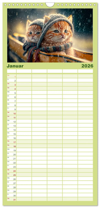 Katzen Freunde (CALVENDO Familienplaner 2026)