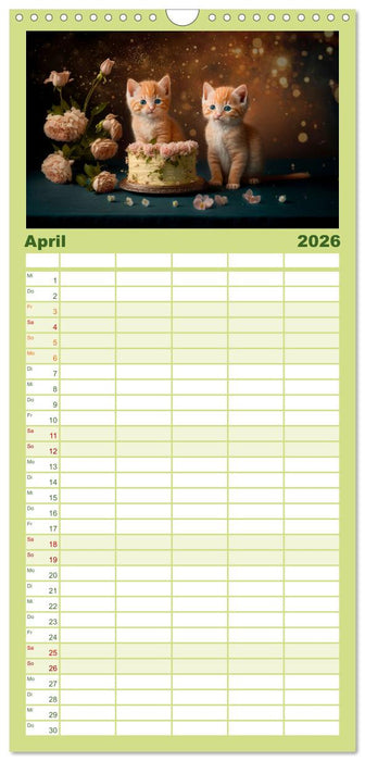 Katzen Freunde (CALVENDO Familienplaner 2026)