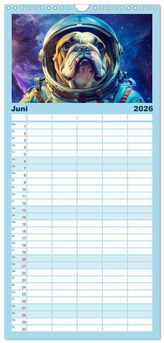 Hunde im Weltall (CALVENDO Familienplaner 2026)