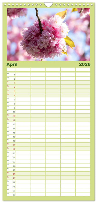 Typisch Magdeburg (CALVENDO Familienplaner 2026)