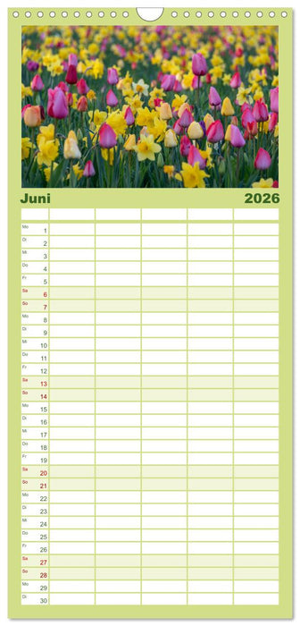 Typisch Magdeburg (CALVENDO Familienplaner 2026)