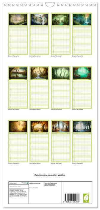 Geheimnisse des alten Waldes (CALVENDO Familienplaner 2026)