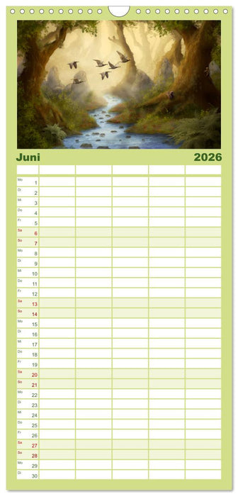 Geheimnisse des alten Waldes (CALVENDO Familienplaner 2026)