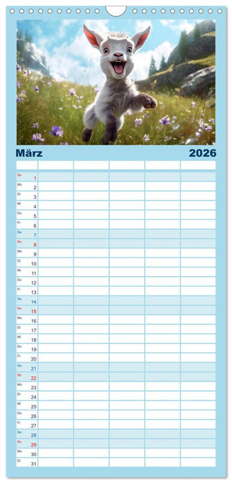 Ziegenkinder haben das ganze Jahr Spaß (CALVENDO Familienplaner 2026)