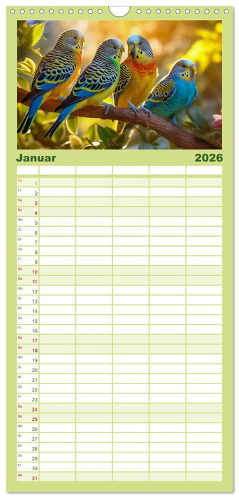 Wellensittiche farbenfroh und munter (CALVENDO Familienplaner 2026)