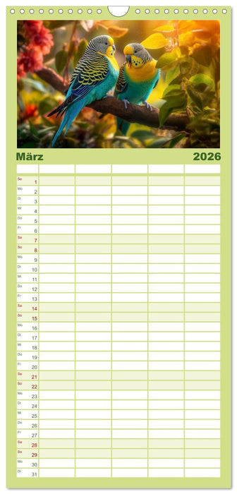 Wellensittiche farbenfroh und munter (CALVENDO Familienplaner 2026)