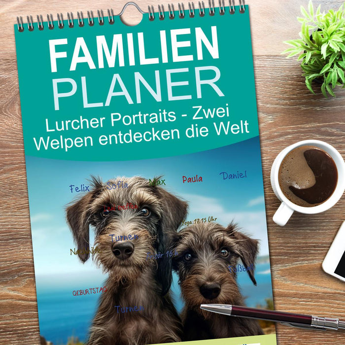 Lurcher Portraits - Zwei Welpen entdecken die Welt (CALVENDO Familienplaner 2026)