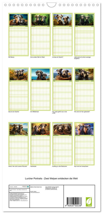 Lurcher Portraits - Zwei Welpen entdecken die Welt (CALVENDO Familienplaner 2026)