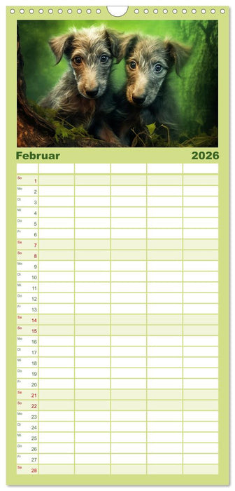 Lurcher Portraits - Zwei Welpen entdecken die Welt (CALVENDO Familienplaner 2026)