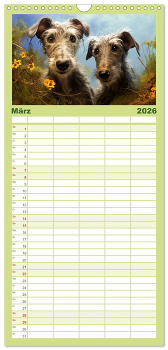 Lurcher Portraits - Zwei Welpen entdecken die Welt (CALVENDO Familienplaner 2026)