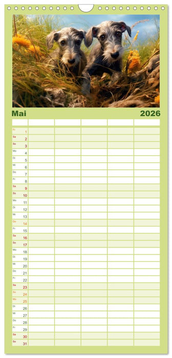 Lurcher Portraits - Zwei Welpen entdecken die Welt (CALVENDO Familienplaner 2026)