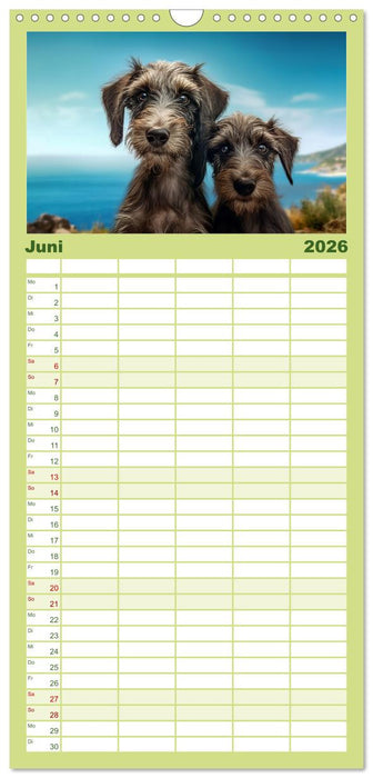 Lurcher Portraits - Zwei Welpen entdecken die Welt (CALVENDO Familienplaner 2026)