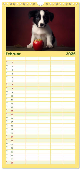 Märchenhafte Helden mit feuchter Nase (CALVENDO Familienplaner 2026)