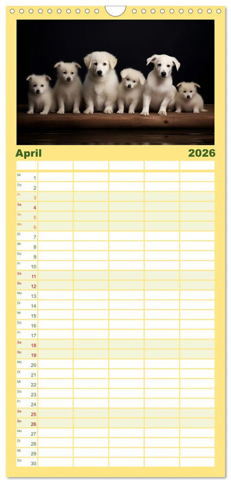 Märchenhafte Helden mit feuchter Nase (CALVENDO Familienplaner 2026)