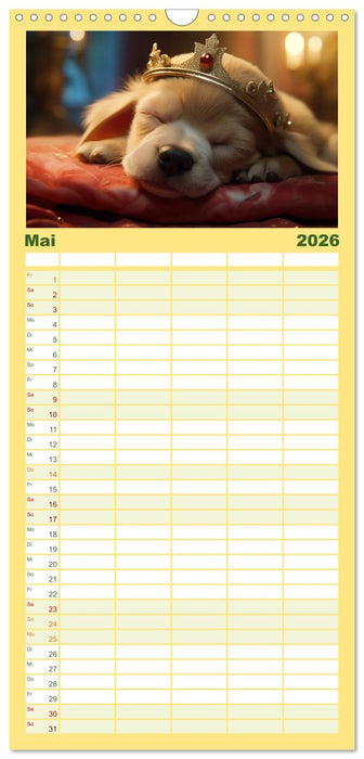 Märchenhafte Helden mit feuchter Nase (CALVENDO Familienplaner 2026)