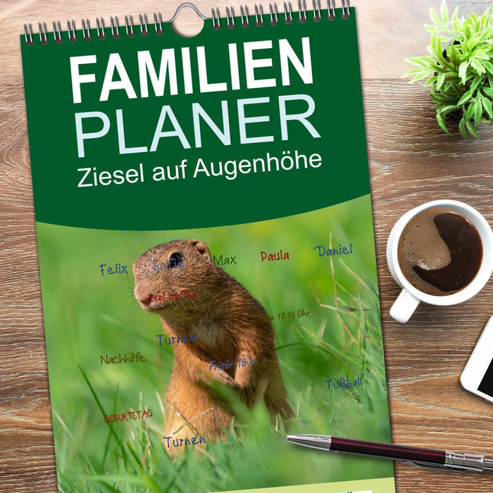 Ziesel auf Augenhöhe (CALVENDO Familienplaner 2026)