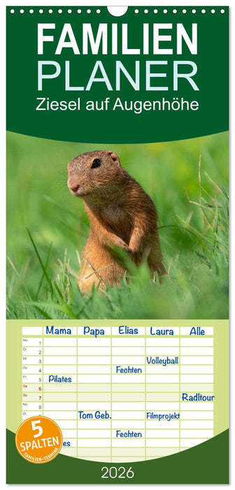 Ziesel auf Augenhöhe (CALVENDO Familienplaner 2026)