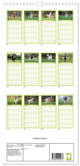 Fröhliche Hunde (CALVENDO Familienplaner 2026)