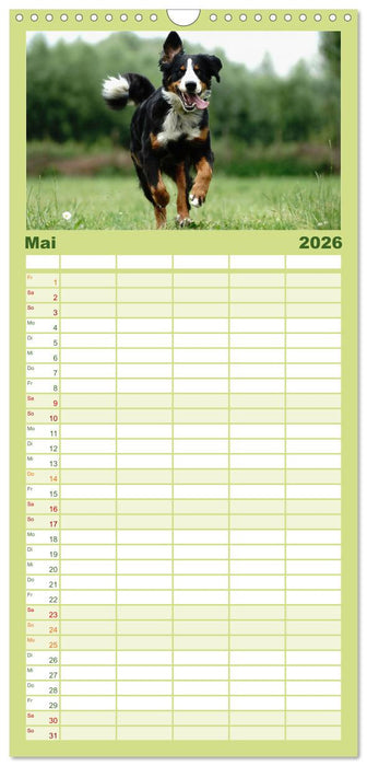 Fröhliche Hunde (CALVENDO Familienplaner 2026)