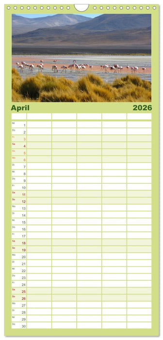 Bolivien - Die geheime Perle Südamerikas (CALVENDO Familienplaner 2026)