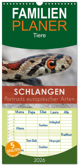 Schlangen - Portraits europäischer Arten (CALVENDO Familienplaner 2026)