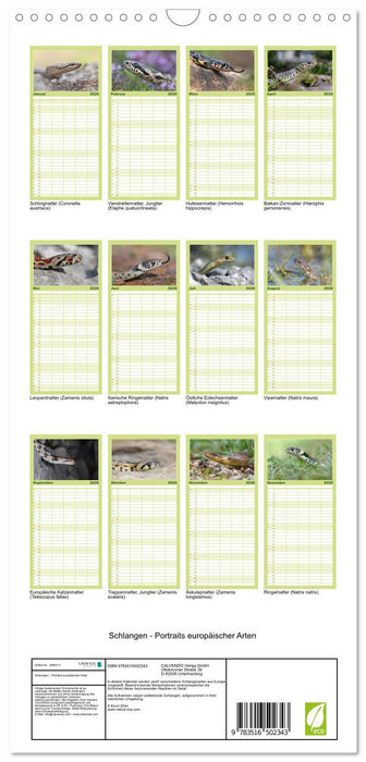 Schlangen - Portraits europäischer Arten (CALVENDO Familienplaner 2026)
