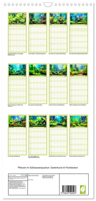 Pflanzen im Süßwasseraquarium. Gartenkunst im Fischbecken (CALVENDO Familienplaner 2026)