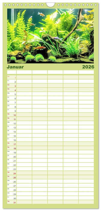 Pflanzen im Süßwasseraquarium. Gartenkunst im Fischbecken (CALVENDO Familienplaner 2026)