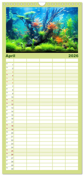 Pflanzen im Süßwasseraquarium. Gartenkunst im Fischbecken (CALVENDO Familienplaner 2026)