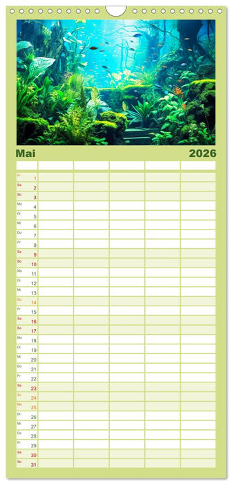 Pflanzen im Süßwasseraquarium. Gartenkunst im Fischbecken (CALVENDO Familienplaner 2026)