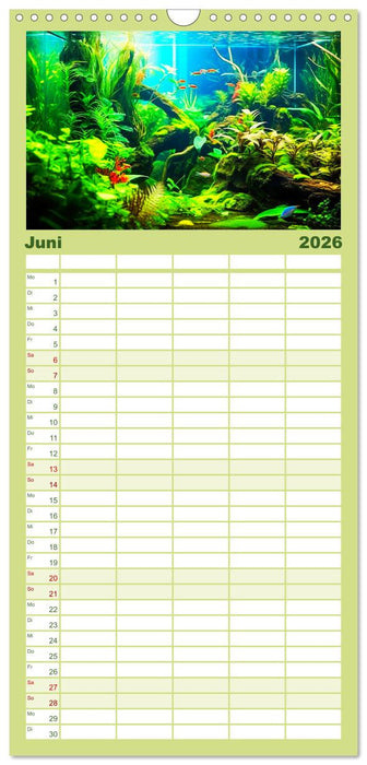 Pflanzen im Süßwasseraquarium. Gartenkunst im Fischbecken (CALVENDO Familienplaner 2026)