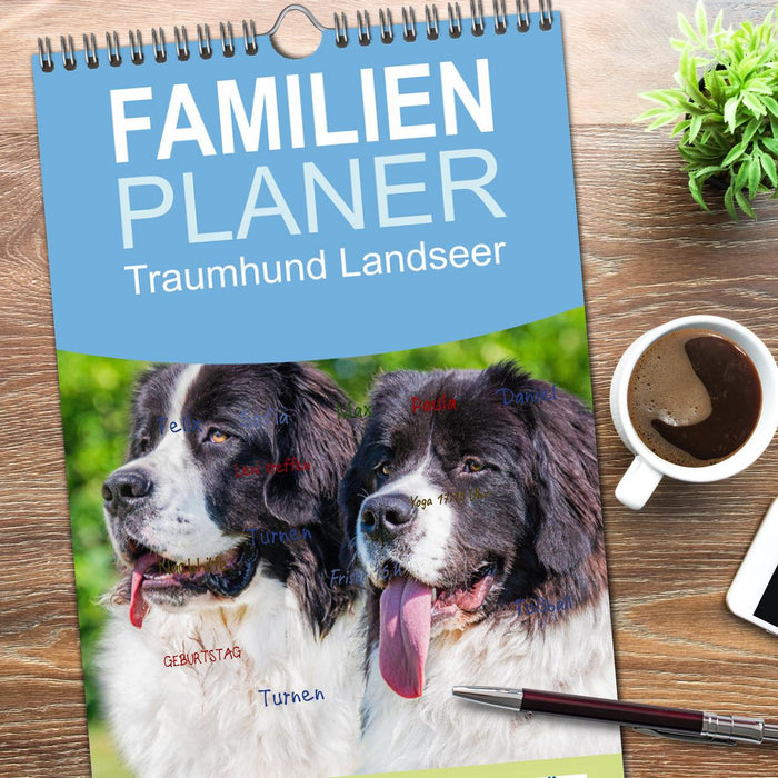 Traumhund Landseer (CALVENDO Familienplaner 2026)